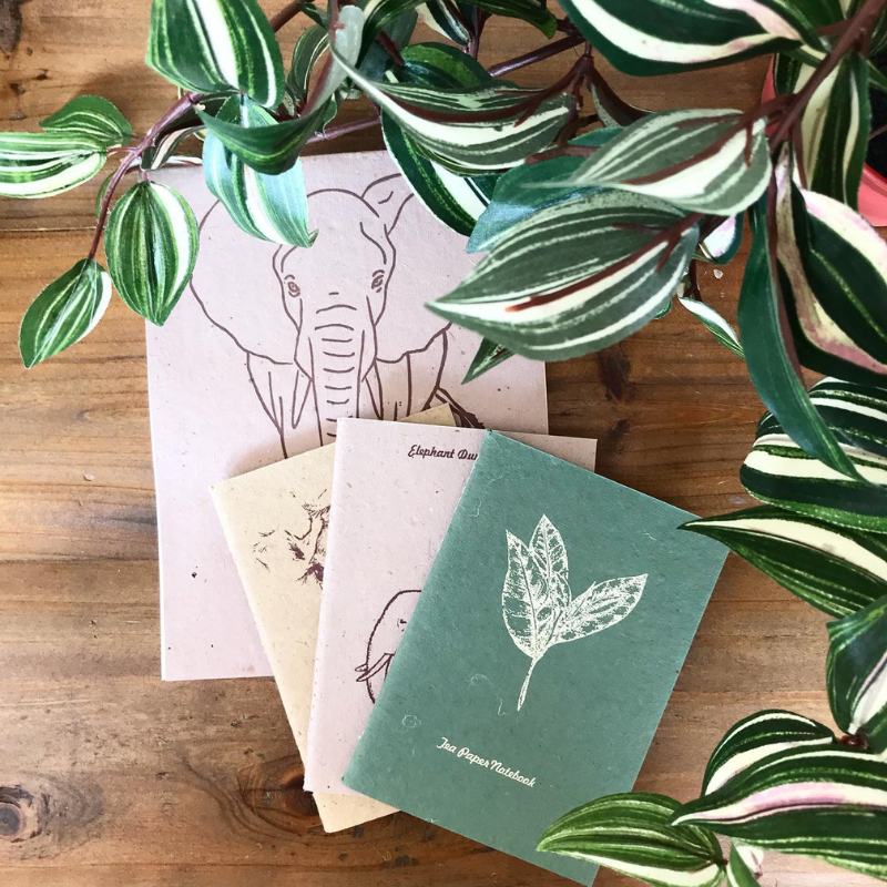eco gifting