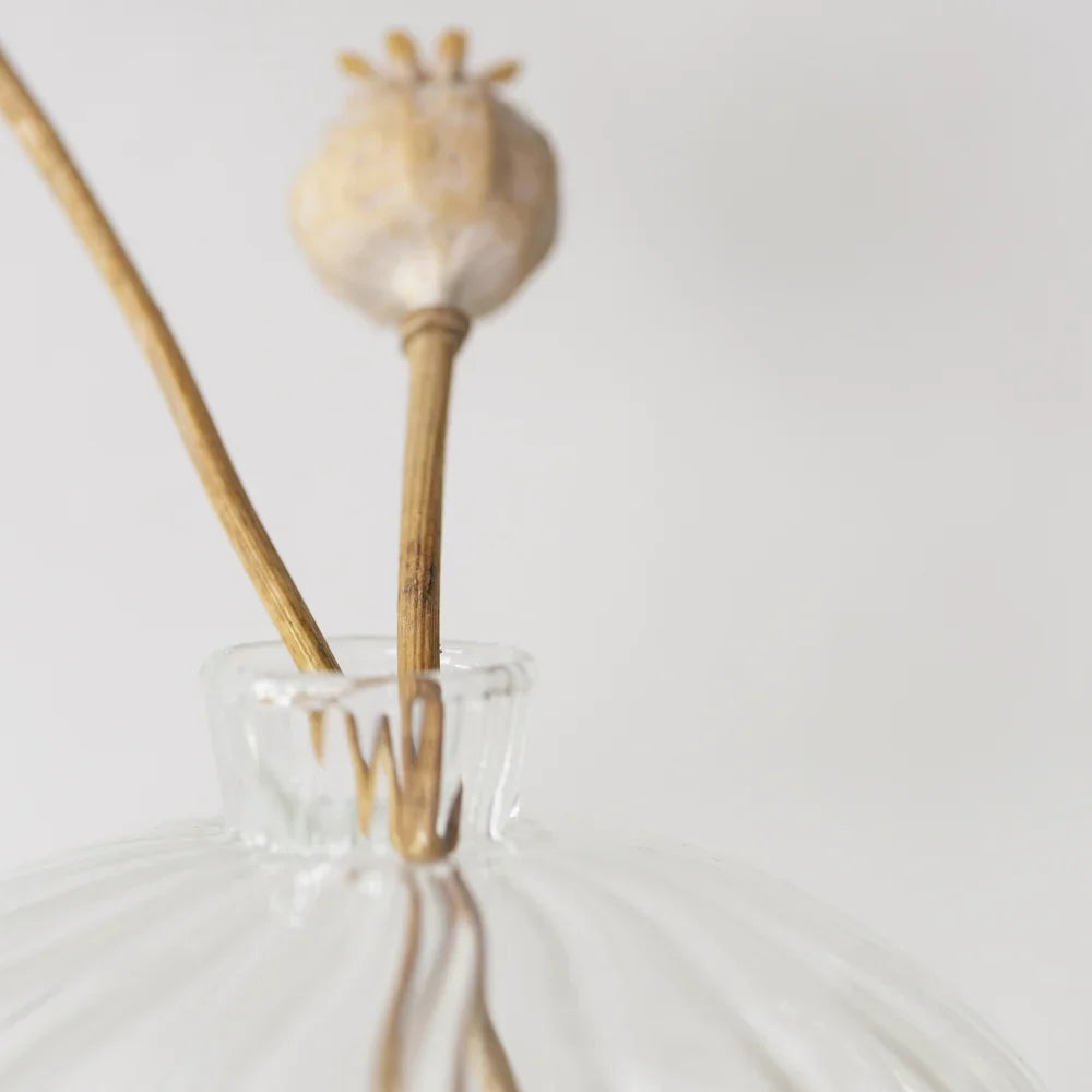 Ribbed Short Clear Glass Vase - B21250 - Uneeka