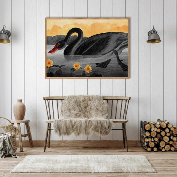 Black Swan Framed Art Print - Oak Frame - Uneeka Lifestyle