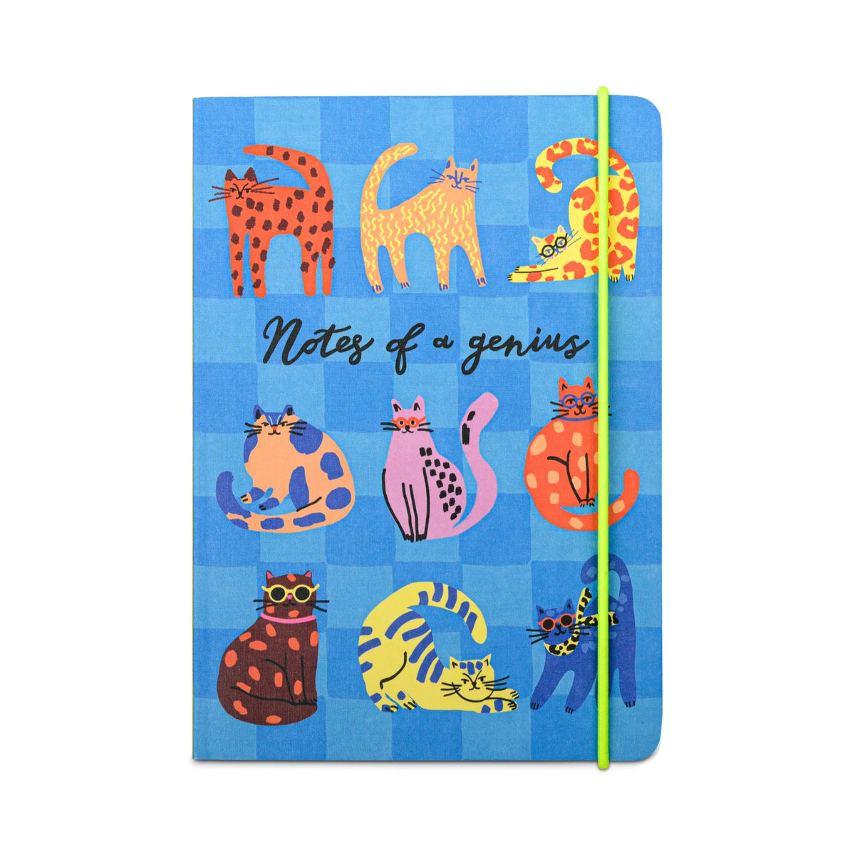 Notes Of A Genius Blue Cat Notebook - HJX028EU - Uneeka