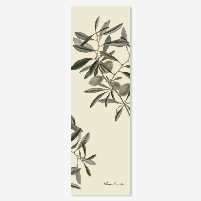 Almond Plant Framed Art Print - 20x60 2804 - Uneeka