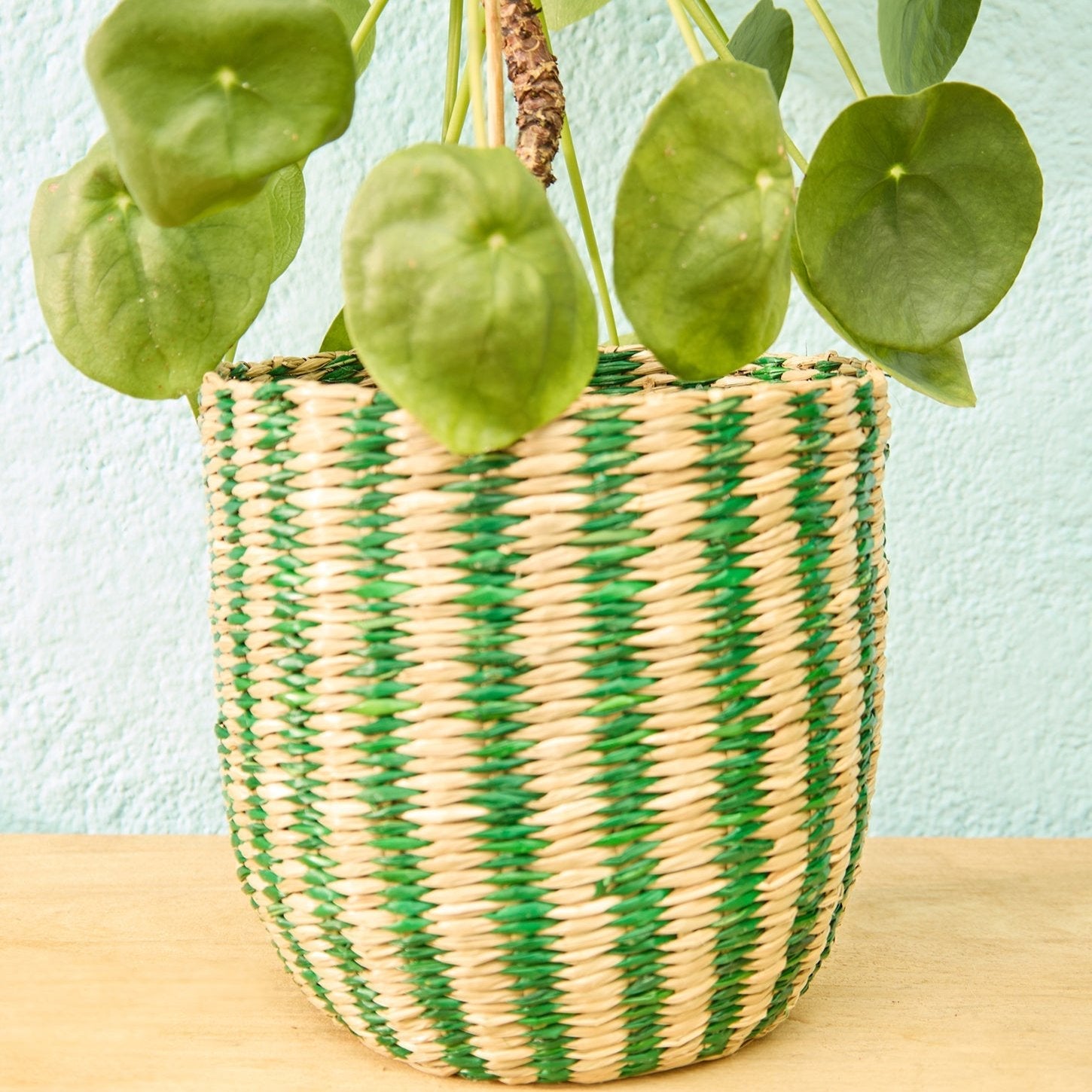 Green Striped Seagrass Planter Basket - BSK72 - SMALL - Uneeka