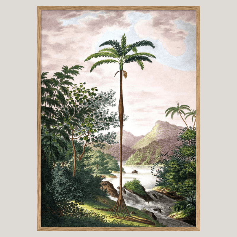 Jungle with Slim Palm Tree Framed Art Print - OFG 30x40 6101 - Uneeka