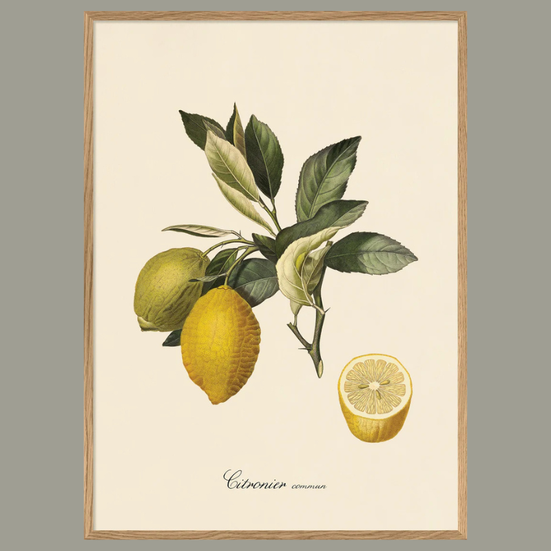Lemon Framed Art Print - OFP 100x140 3608 - Uneeka