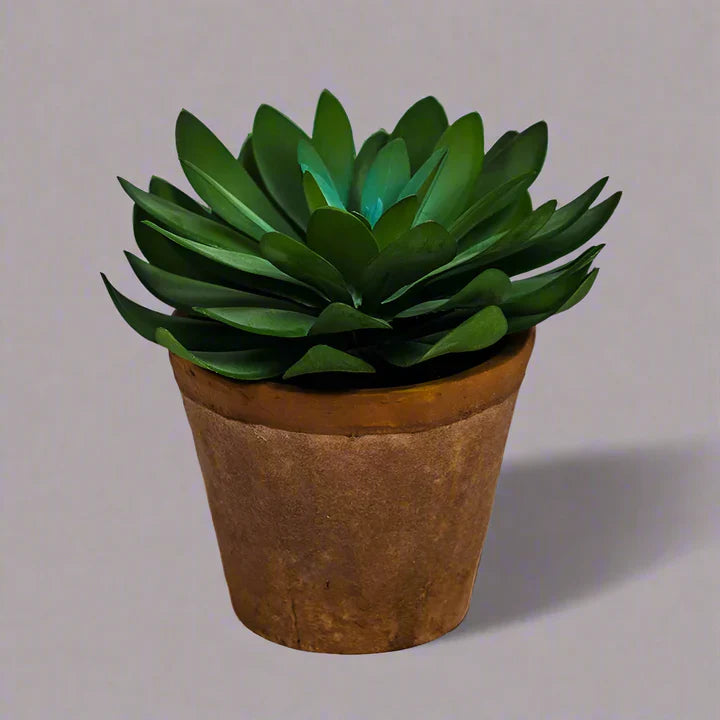 Small Faux Succulent in Terracotta Pot - AF49 - Uneeka
