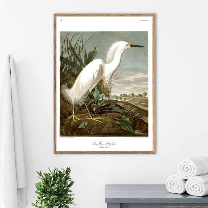 Snowy Heron Framed Art Print - OFG 50x70 6522 - Uneeka
