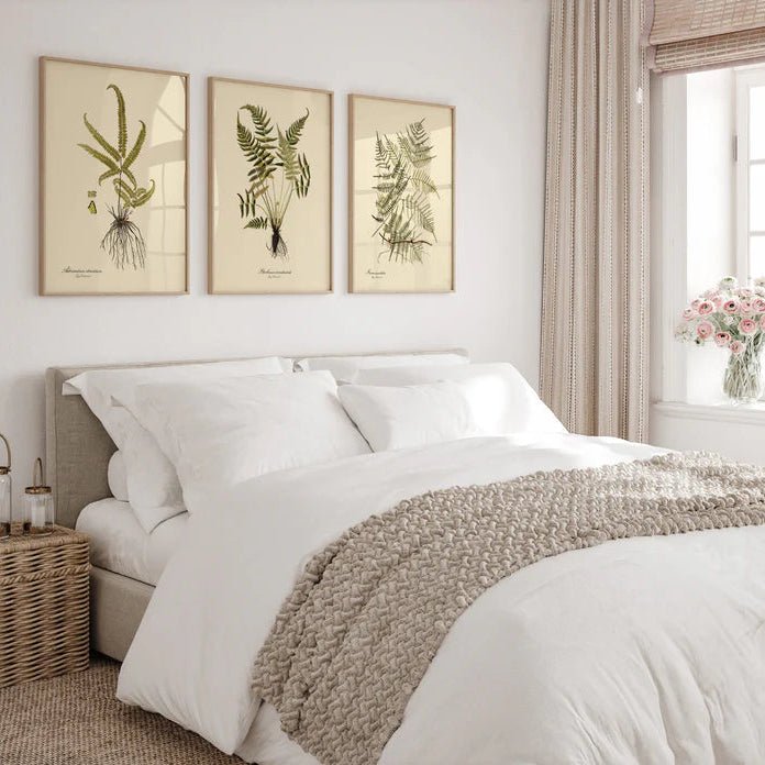 Steris Caudata Fern Framed Art Print - OFG 50x70 3101 - Uneeka