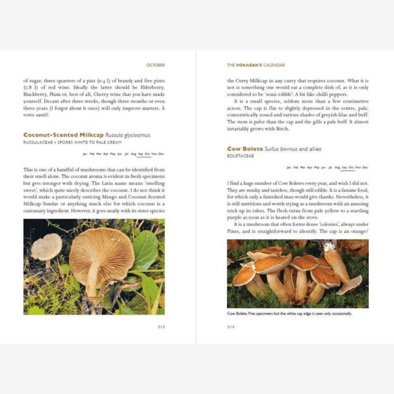 The Forager's Calendar Guide Book - B050799 - Uneeka